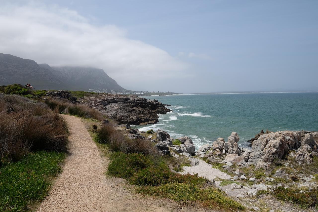 325Onmain Bed & Breakfast Hermanus Dış mekan fotoğraf